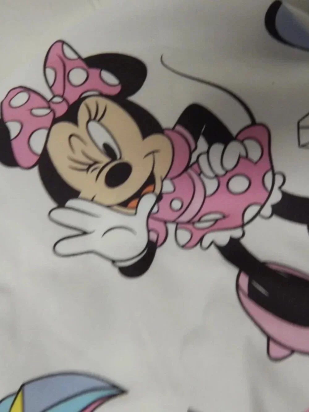 Disney pc minnie